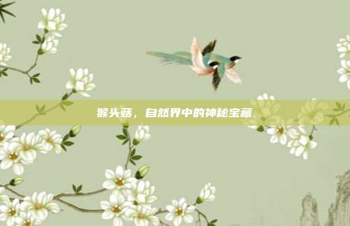 猴头菇，自然界中的神秘宝藏