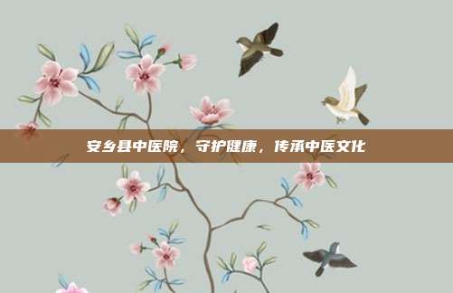 安乡县中医院，守护健康，传承中医文化