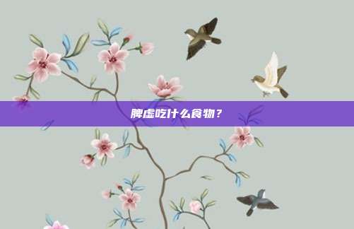 脾虚吃什么食物？