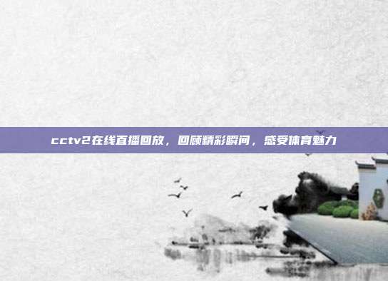 cctv2在线直播回放,回顾精彩瞬间,感受体育魅力