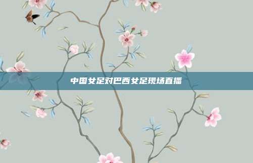 中国女足对巴西女足现场直播
