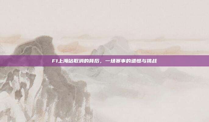 F1上海站取消的背后,一场赛事的遗憾与挑战