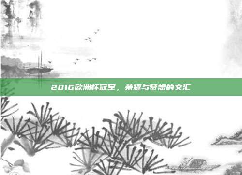 2016欧洲杯冠军，荣耀与梦想的交汇