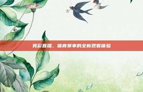 竞彩直播,体育赛事的全新观看体验