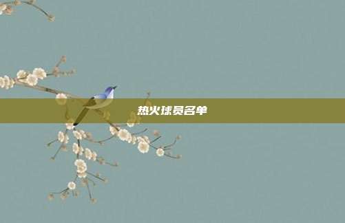 热火球员名单