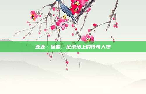 亚亚·图雷,足球场上的传奇人物