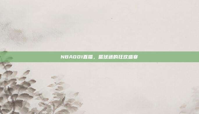 NBA001直播,篮球迷的狂欢盛宴
