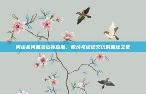 奥运会男篮落选赛直播，激情与遗憾交织的篮球之夜