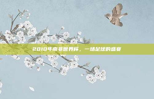2010年南非世界杯,一场足球的盛宴