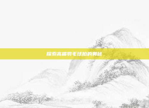 探索高端羽毛球拍的奥秘