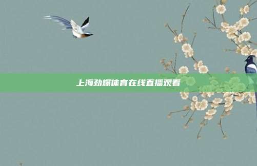上海劲爆体育在线直播观看
