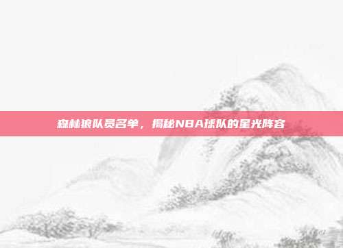 森林狼队员名单,揭秘NBA球队的星光阵容