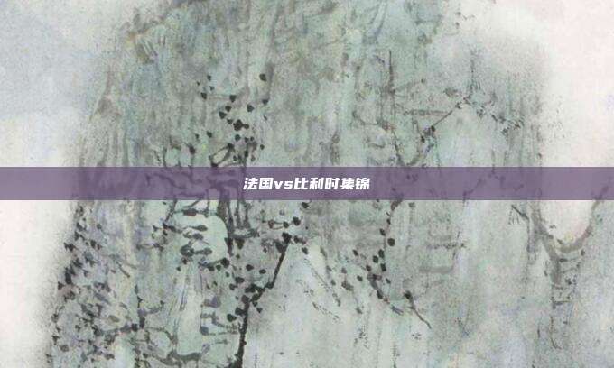 法国vs比利时集锦