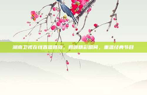 湖南卫视在线直播回放，回顾精彩瞬间，重温经典节目
