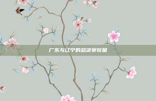 广东与辽宁的总决赛较量