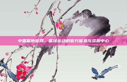 中国篮协官网,篮球运动的官方信息与资源中心