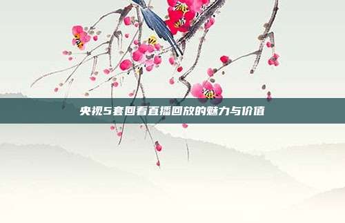 央视5套回看直播回放的魅力与价值