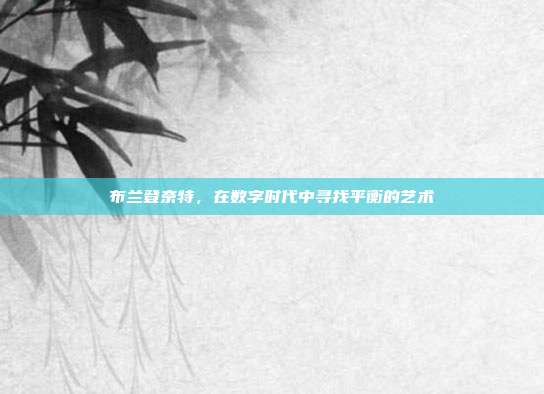 布兰登奈特,在数字时代中寻找平衡的艺术