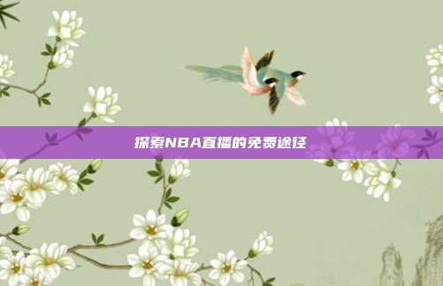 探索NBA直播的免费途径