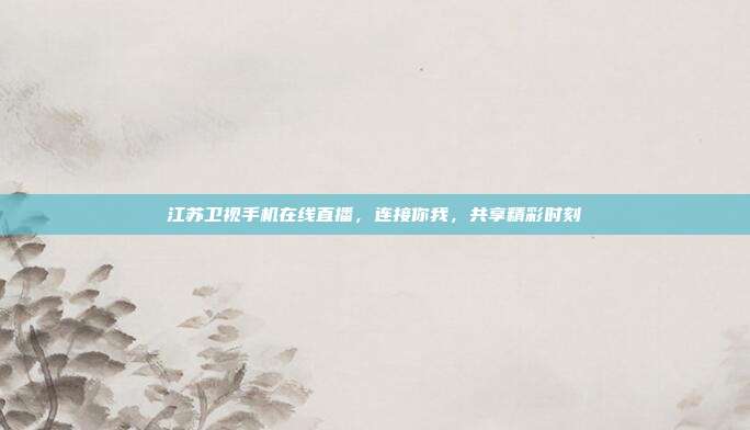 江苏卫视手机在线直播,连接你我,共享精彩时刻