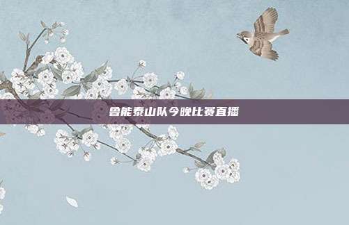 鲁能泰山队今晚比赛直播