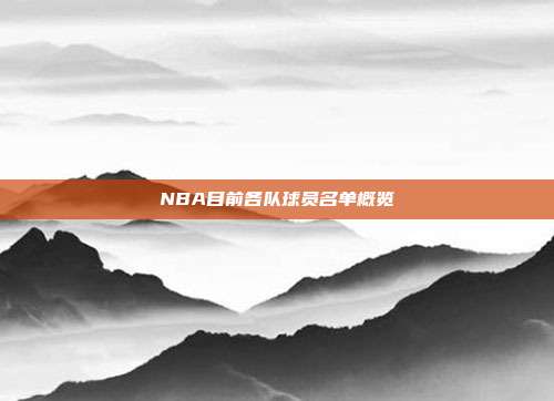 NBA目前各队球员名单概览