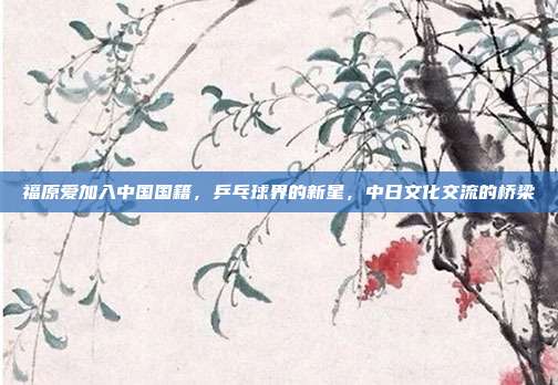 福原爱加入中国国籍,乒乓球界的新星,中日文化交流的桥梁