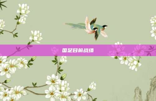 国足目前战绩