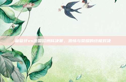 葡萄牙vs法国欧洲杯决赛，激情与荣耀的终极对决