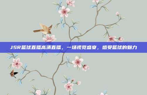 JSR篮球直播高清直播,一场视觉盛宴,感受篮球的魅力
