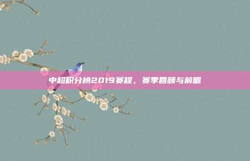 中超积分榜2019赛程,赛季回顾与前瞻