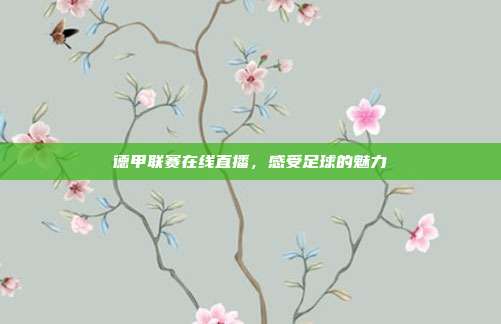德甲联赛在线直播,感受足球的魅力