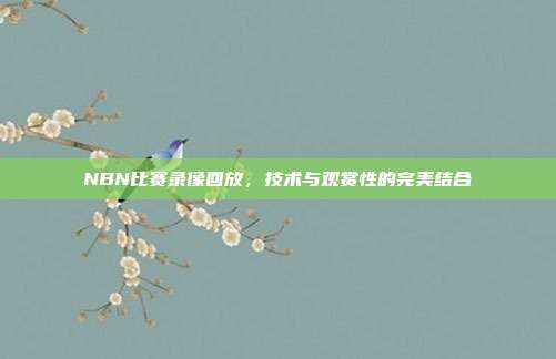 NBN比赛录像回放，技术与观赏性的完美结合