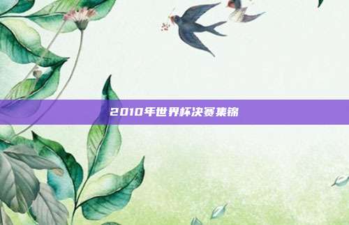 2010年世界杯决赛集锦