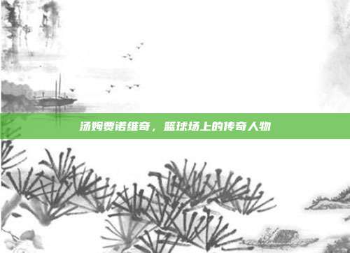 汤姆贾诺维奇，篮球场上的传奇人物