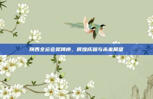 陕西全运会奖牌榜，辉煌成就与未来展望