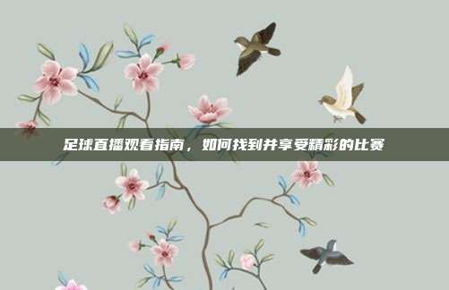 足球直播观看指南，如何找到并享受精彩的比赛