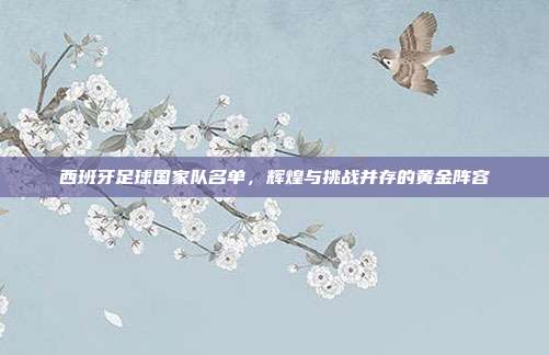 西班牙足球国家队名单，辉煌与挑战并存的黄金阵容
