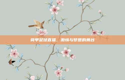 荷甲足球直播，激情与梦想的舞台