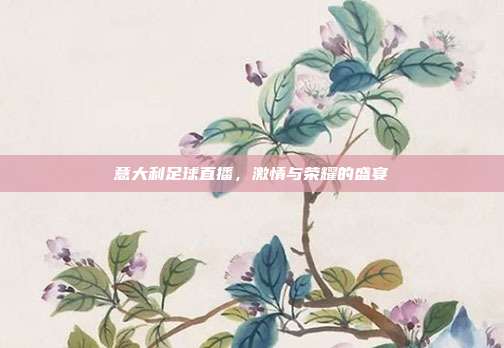 意大利足球直播，激情与荣耀的盛宴