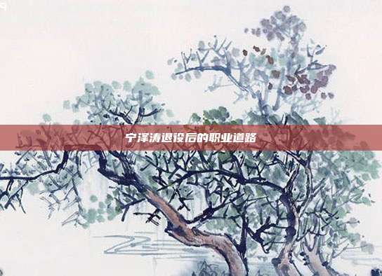 宁泽涛退役后的职业道路