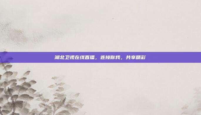 湖北卫视在线直播，连接你我，共享精彩