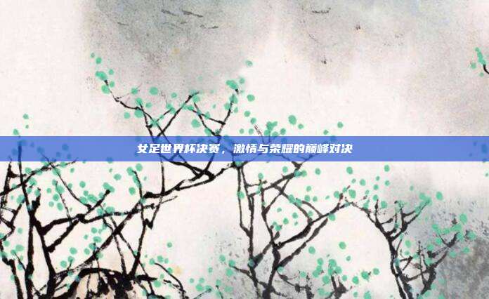 女足世界杯决赛，激情与荣耀的巅峰对决