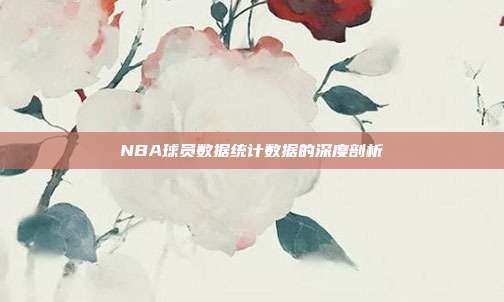 NBA球员数据统计数据的深度剖析