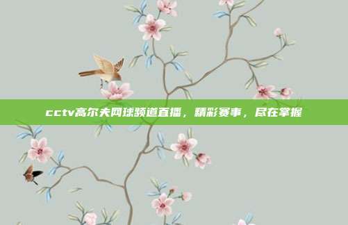 cctv高尔夫网球频道直播，精彩赛事，尽在掌握