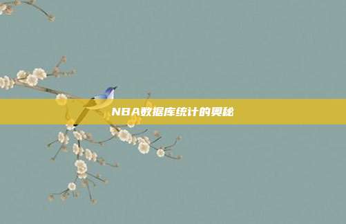 NBA数据库统计的奥秘