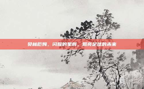贝林厄姆,闪耀的星辉,照亮足球的未来