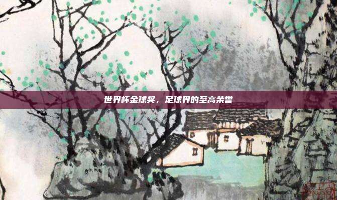 世界杯金球奖,足球界的至高荣誉