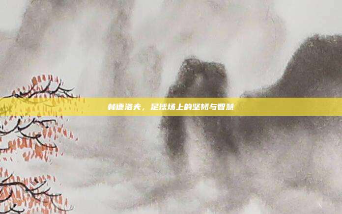 林德洛夫,足球场上的坚韧与智慧