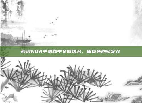 新浪NBA手机版中文网排名，体育迷的新宠儿